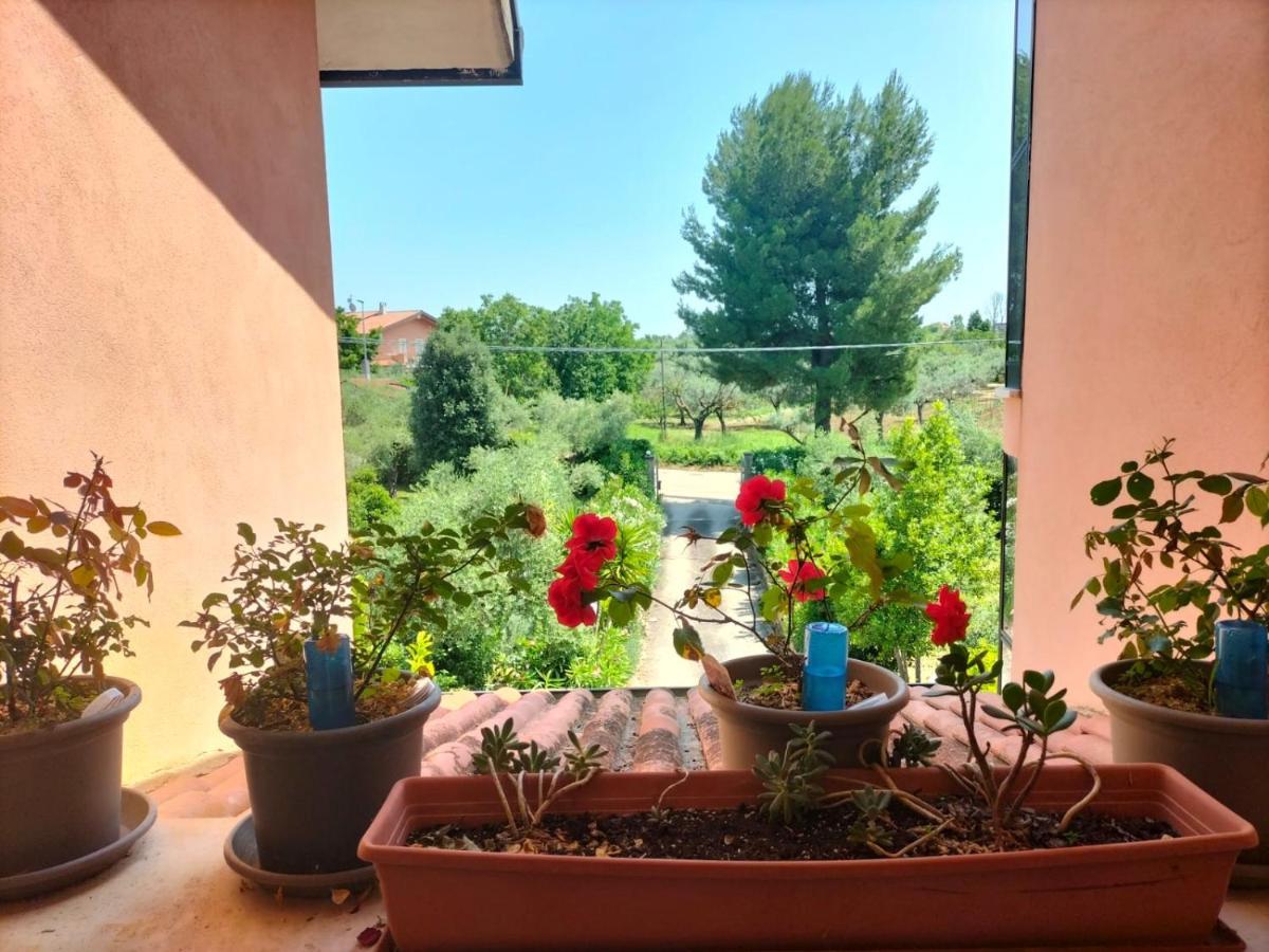 Le Palme Apartment Ortona Exterior foto