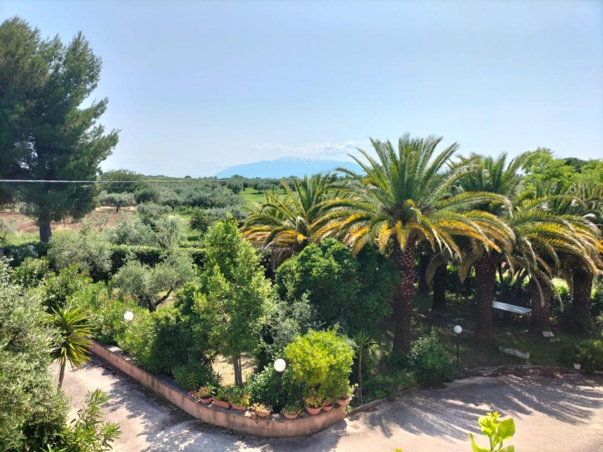 Le Palme Apartment Ortona Exterior foto