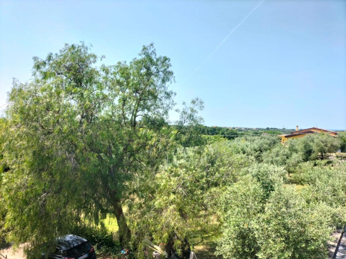 Le Palme Apartment Ortona Exterior foto
